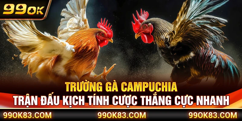Trường Gà Campuchia – Trận Đấu Kịch Tính Cược Thắng Cực Nhanh