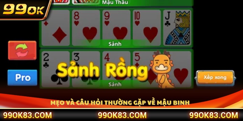 Tổng hợp câu hỏi thường gặp về cách chơi Mậu Binh 99OK