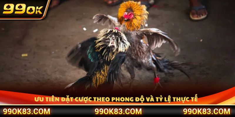Ưu tiên đặt cược theo phong độ và tỷ lệ thực tế