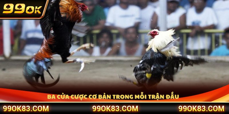 Giải thích chi tiết ba loại cửa cược chính