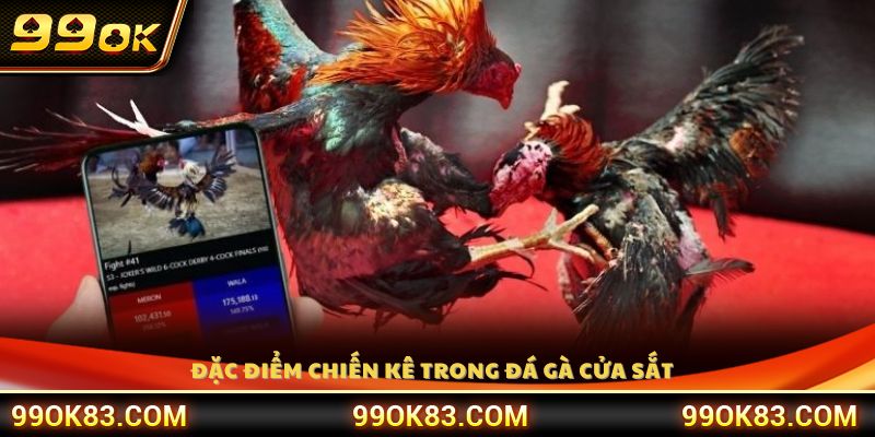 Đặc tính nổi bật của chiến kê đá gà cửa sắt 99OK 