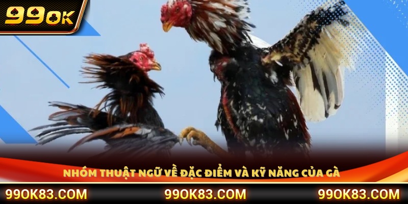 Thuật ngữ mô tả hình dáng, thể lực và khả năng chiến đấu