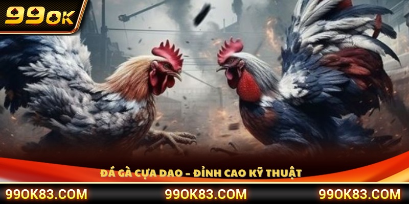 Hình thức đá gà cựa dao 
