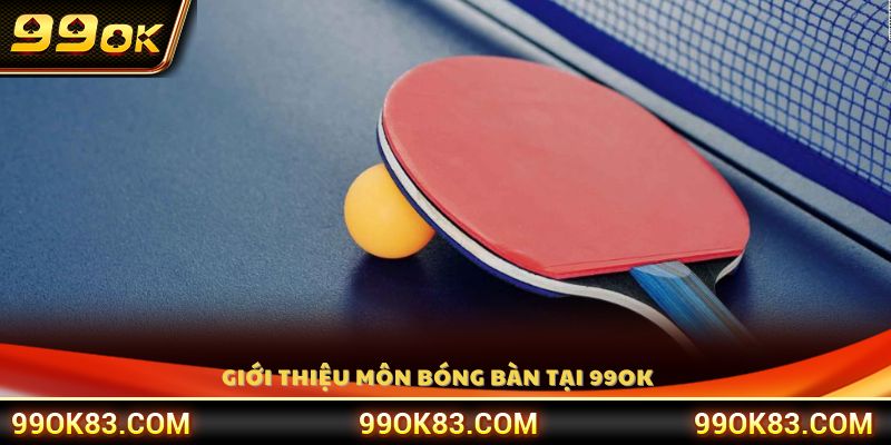 Khái quát bộ môn bóng bàn trong hệ thống 99 OK